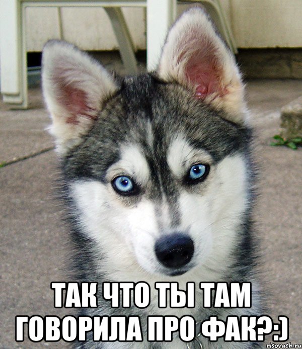  так что ты там говорила про фак?:)