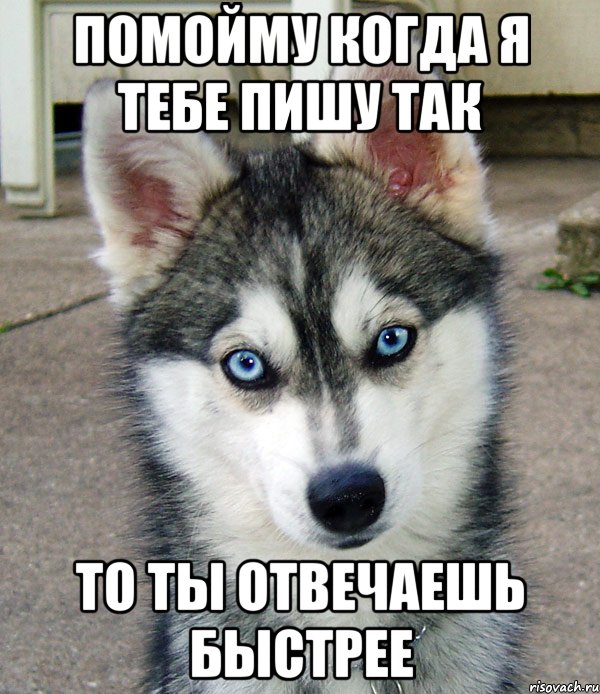 помойму когда я тебе пишу так то ты отвечаешь быстрее
