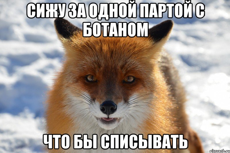 сижу за одной партой с ботаном что бы списывать