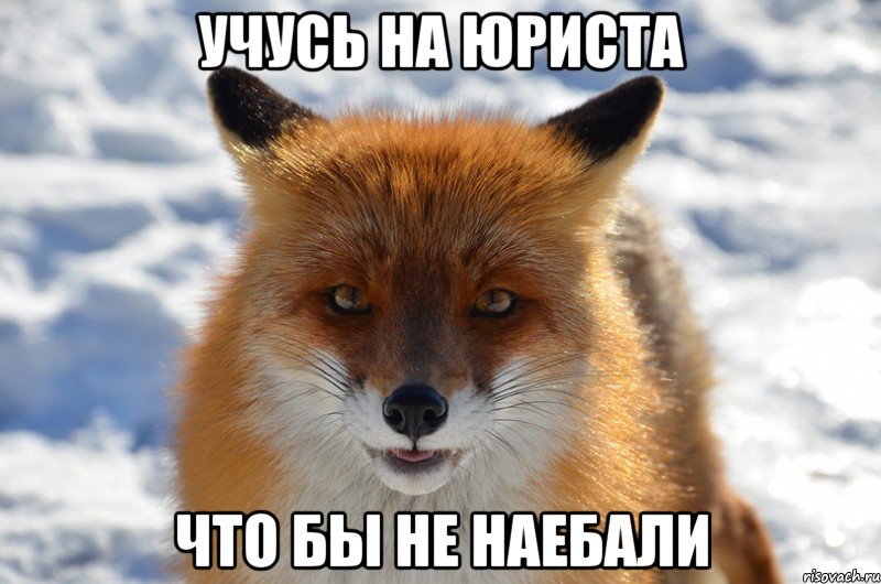 учусь на юриста что бы не наебали