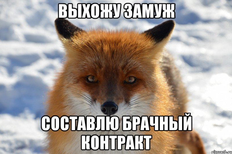 выхожу замуж составлю брачный контракт