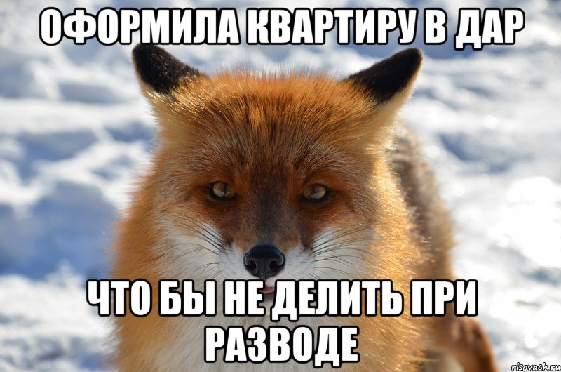 оформила квартиру в дар что бы не делить при разводе