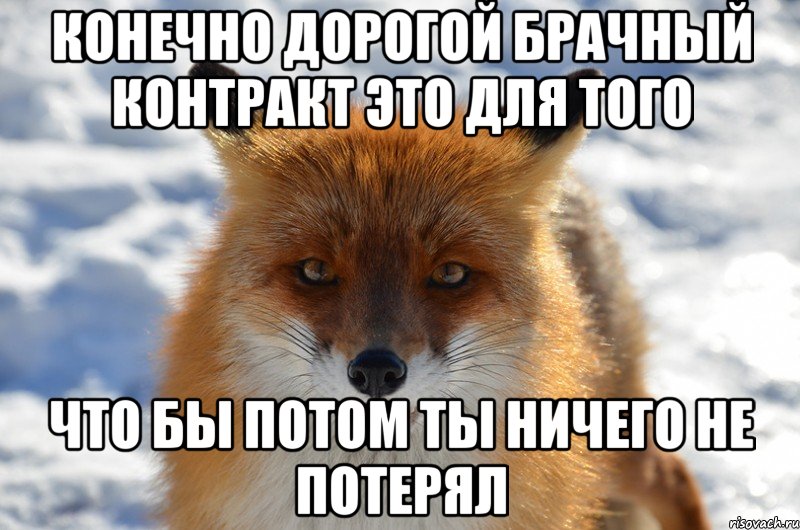 Конечно дорогой брачный контракт это для того что бы потом ты ничего не потерял