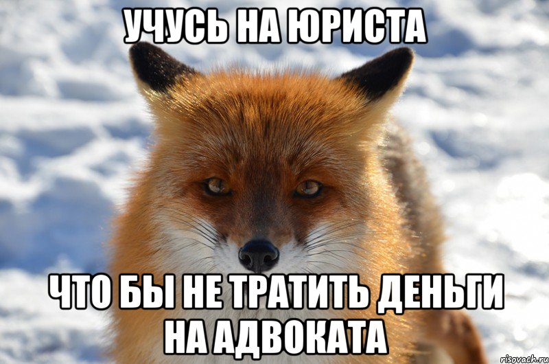 учусь на юриста что бы не тратить деньги на адвоката