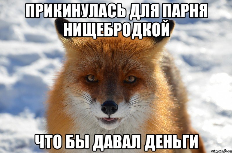 прикинулась для парня нищебродкой что бы давал деньги