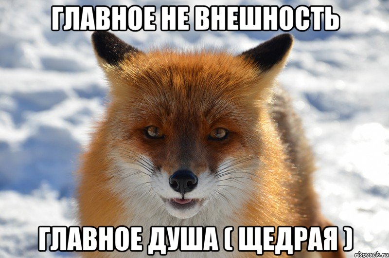 главное не внешность главное душа ( щедрая )