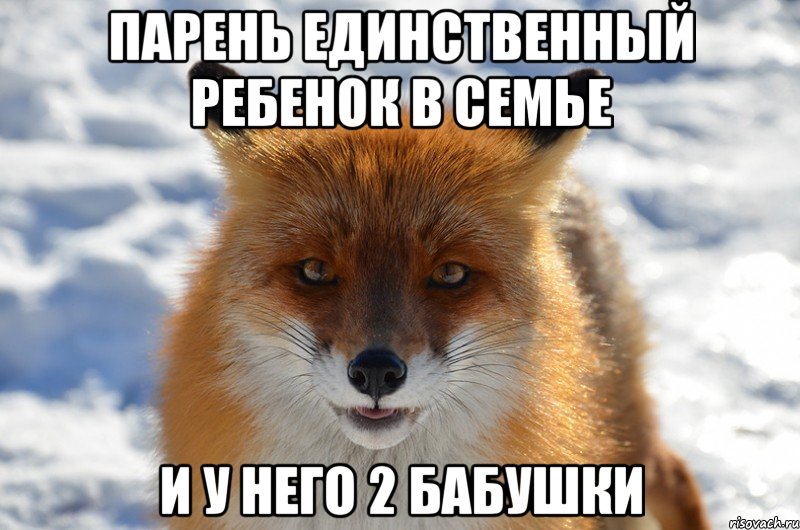парень единственный ребенок в семье и у него 2 бабушки