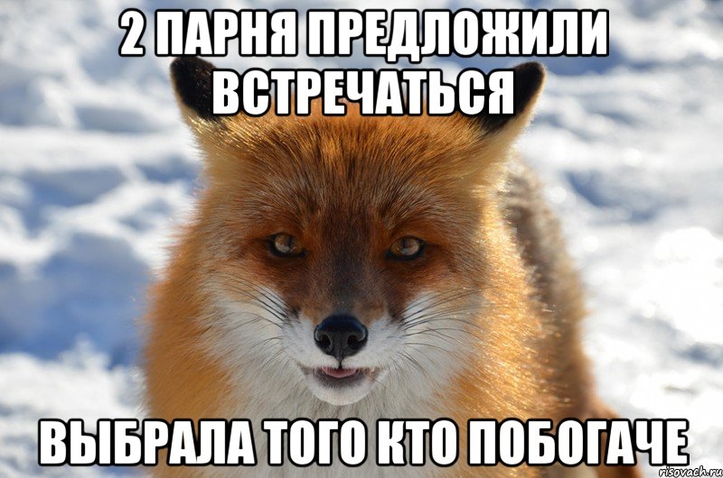 Что за мем с лисой 2018 Что за мем с лисой 2018