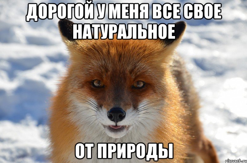 Дорогой у меня все свое натуральное от природы