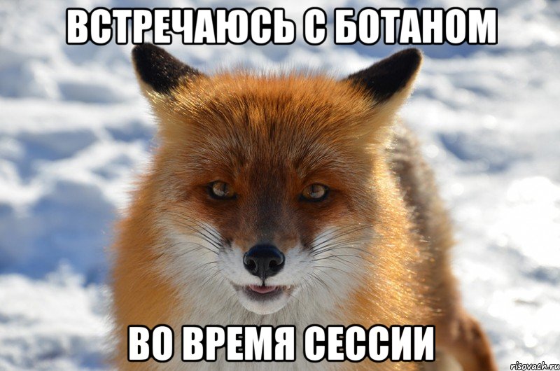 встречаюсь с ботаном во время сессии