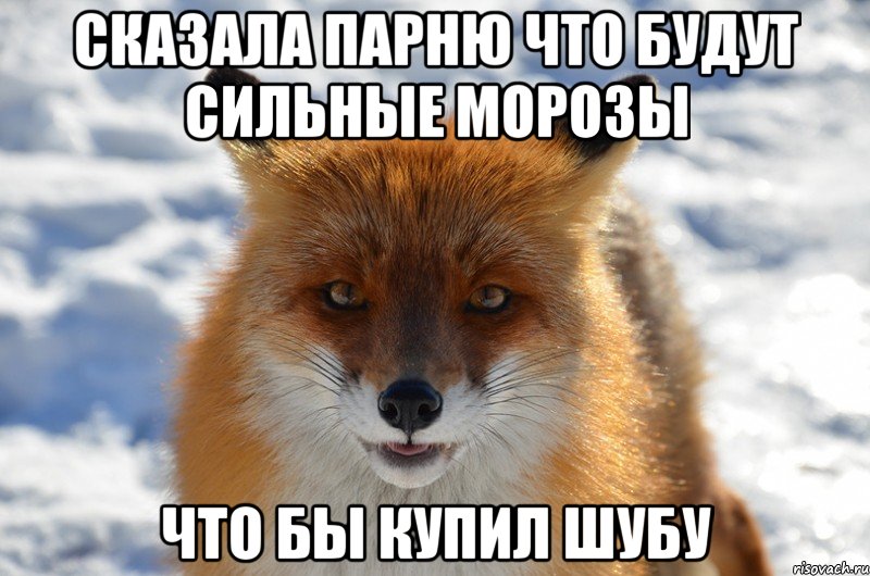 сказала парню что будут сильные морозы что бы купил шубу