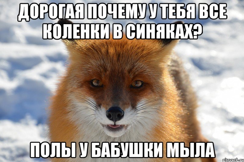 Дорогая почему у тебя все коленки в синяках? полы у бабушки мыла