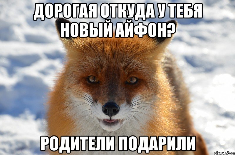 Дорогая откуда у тебя новый айфон? родители подарили