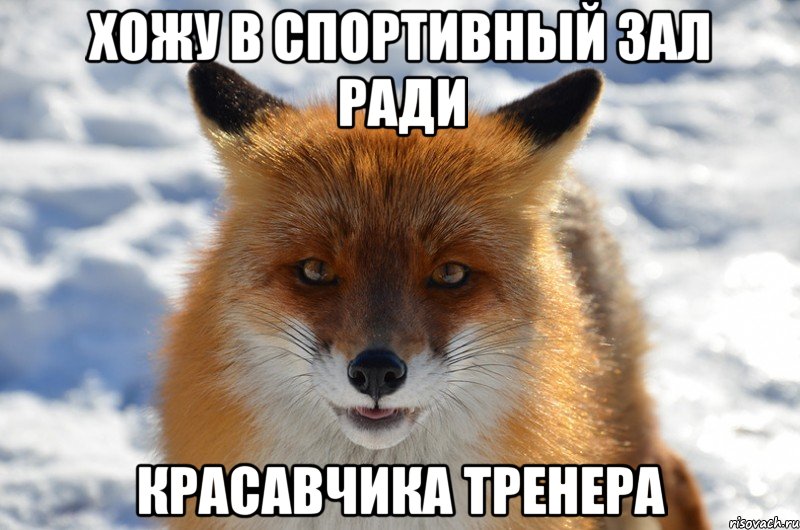 Хожу в спортивный зал ради красавчика тренера