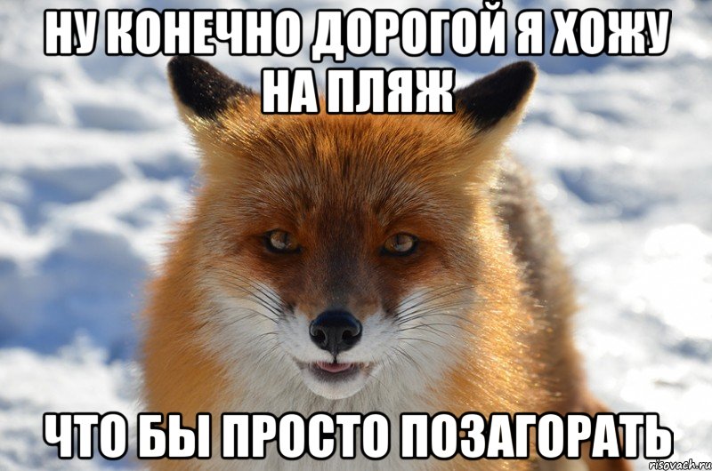 Ну конечно дорогой я хожу на пляж что бы просто позагорать