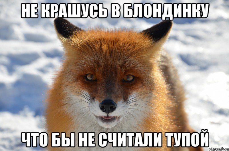 Не крашусь в блондинку что бы не считали тупой