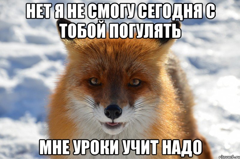 Нет я не смогу сегодня с тобой погулять мне уроки учит надо