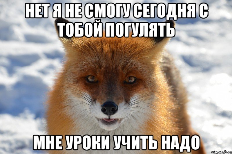Нет я не смогу сегодня с тобой погулять мне уроки учить надо