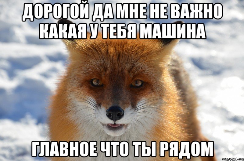Дорогой да мне не важно какая у тебя машина главное что ты рядом