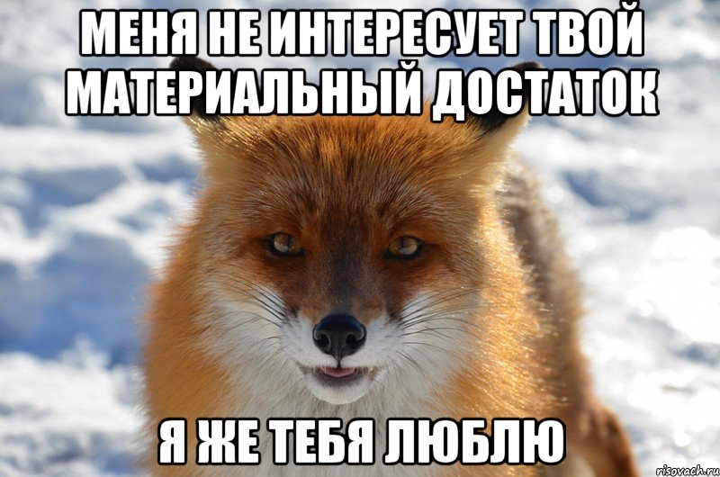 меня не интересует твой материальный достаток я же тебя люблю