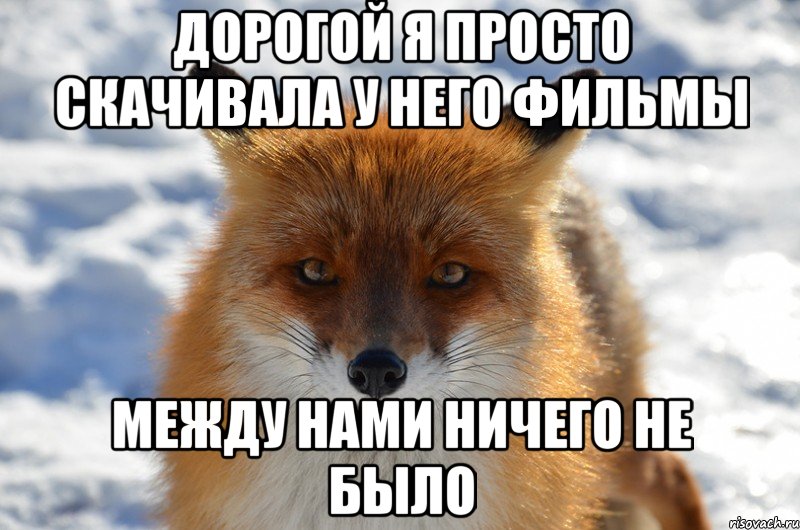 Дорогой я просто скачивала у него фильмы между нами ничего не было