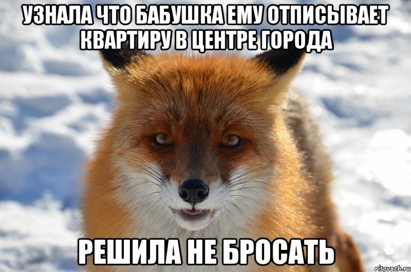 узнала что бабушка ему отписывает квартиру в центре города решила не бросать