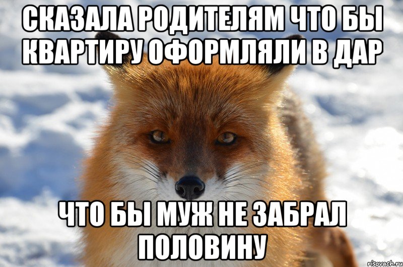 сказала родителям что бы квартиру оформляли в дар что бы муж не забрал половину
