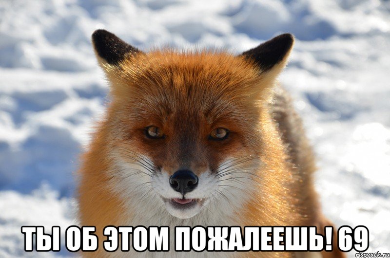  Ты об этом пожалеешь! 69