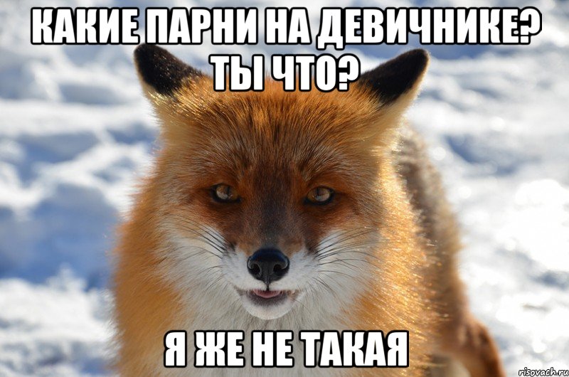 Какие парни на девичнике? Ты что? Я же не такая