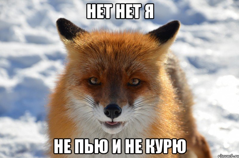 нет нет я не пью и не курю
