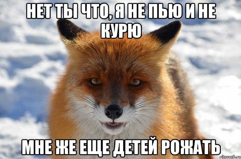 Нет ты что, я не пью и не курю мне же еще детей рожать
