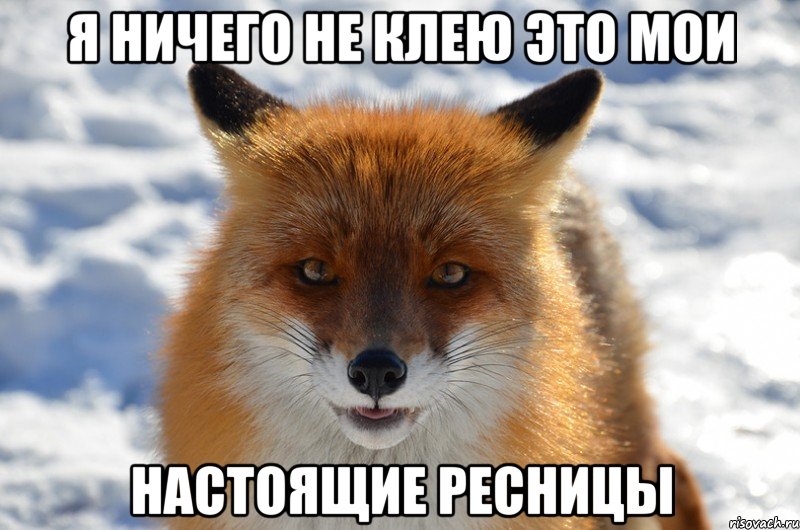 я ничего не клею это мои настоящие ресницы