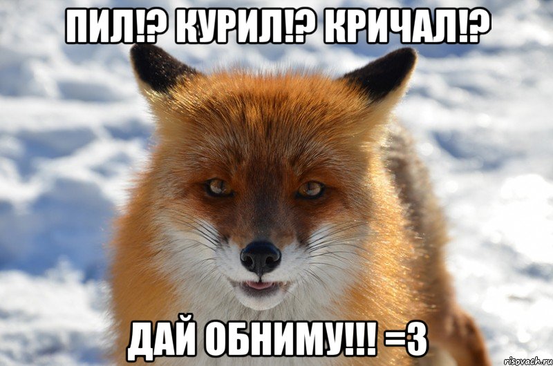 пил!? курил!? кричал!? дай обниму!!! =3