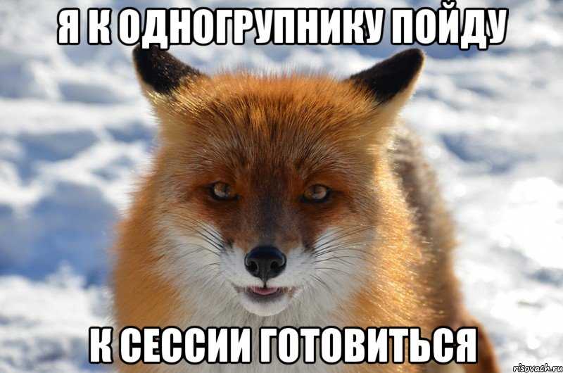 я к одногрупнику пойду к сессии готовиться