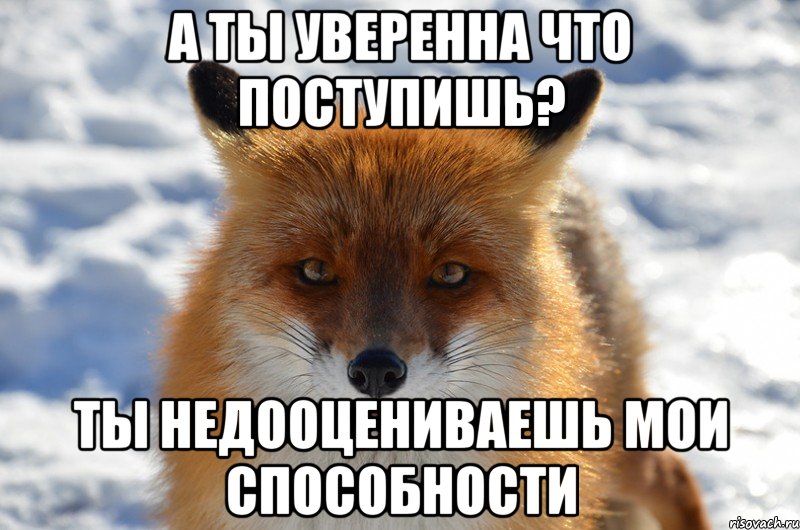 а ты уверенна что поступишь? ты недооцениваешь мои способности