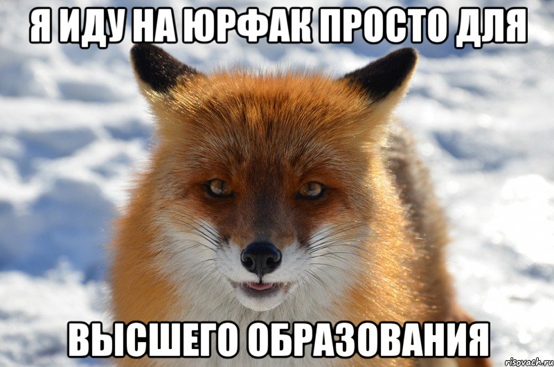 я иду на юрфак просто для высшего образования