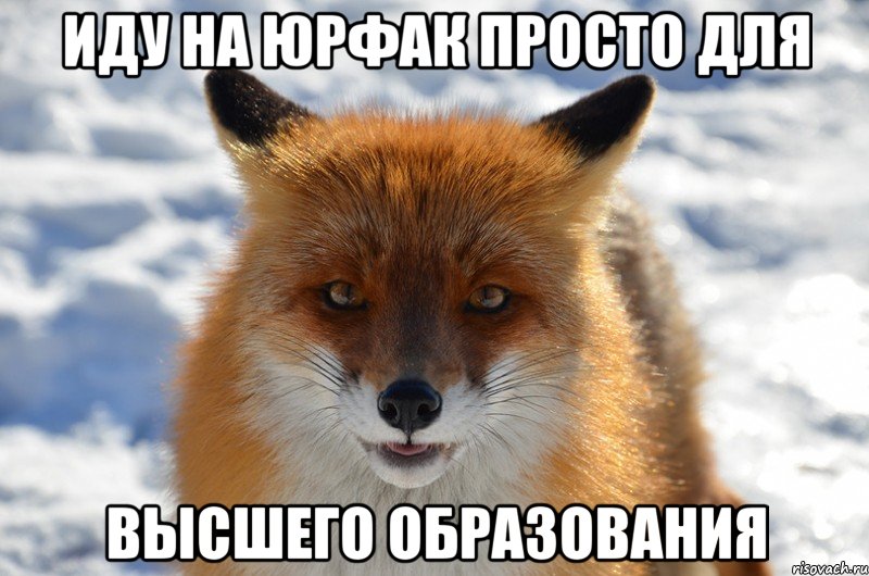 иду на юрфак просто для высшего образования