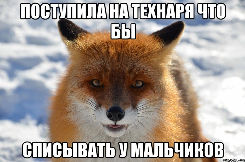 поступила на технаря что бы списывать у мальчиков