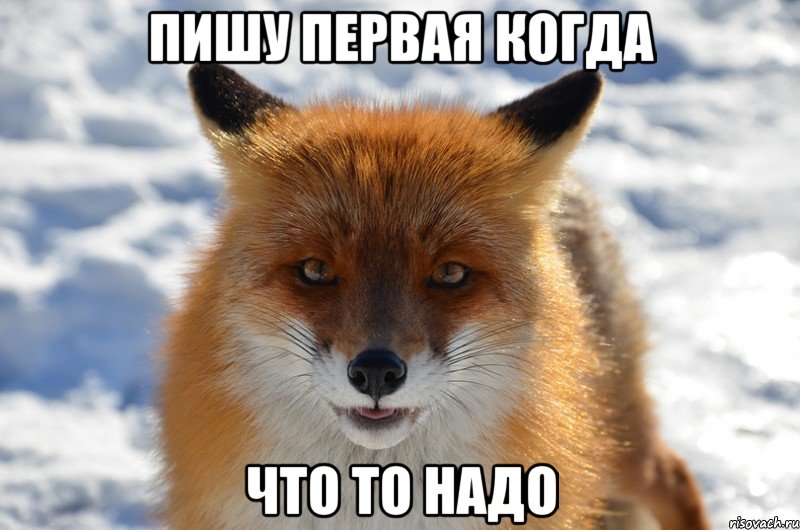 пишу первая когда что то надо