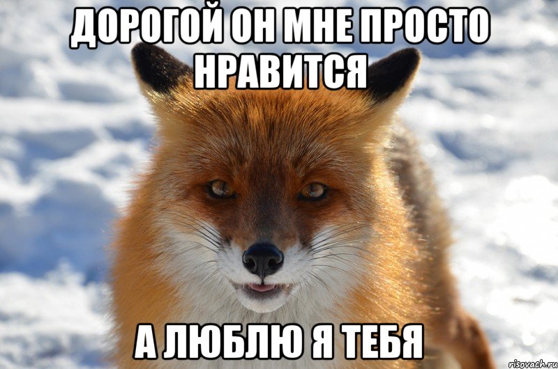 дорогой он мне просто нравится а люблю я тебя