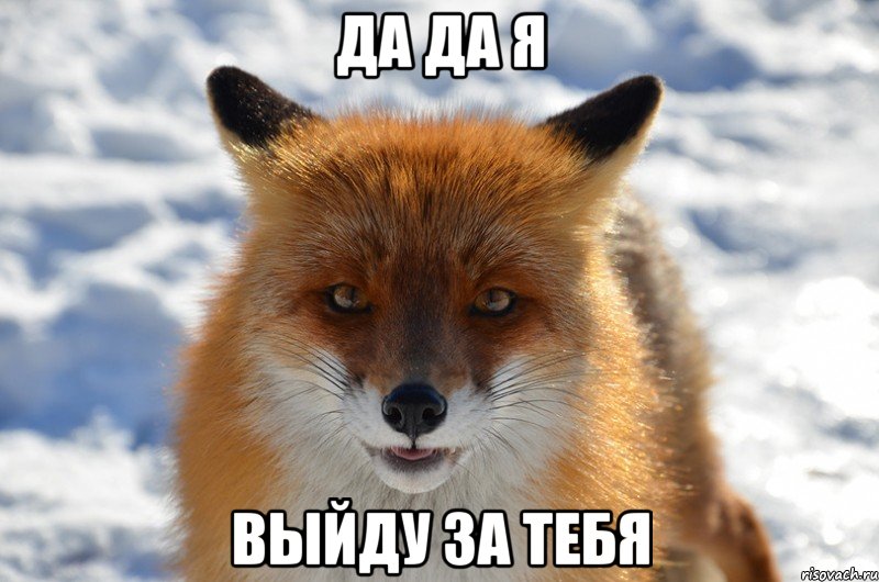 да да я выйду за тебя