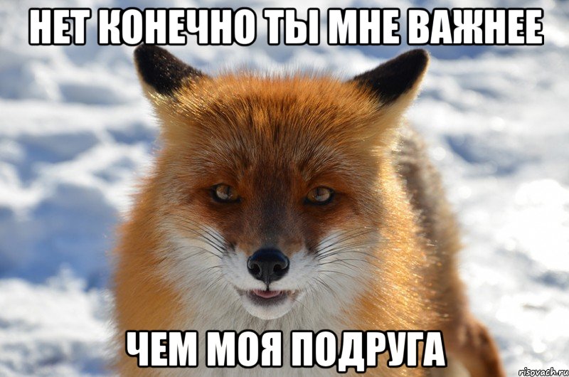 нет конечно ты мне важнее чем моя подруга