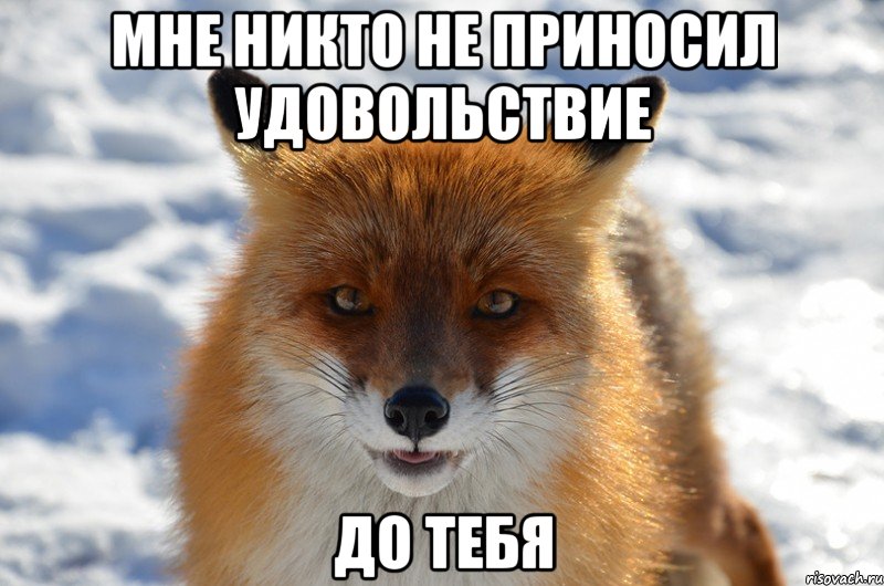 мне никто не приносил удовольствие до тебя