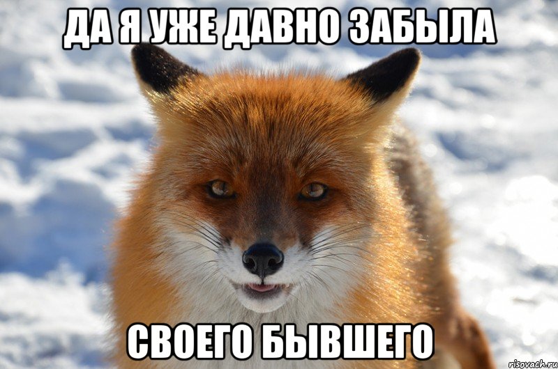 да я уже давно забыла своего бывшего