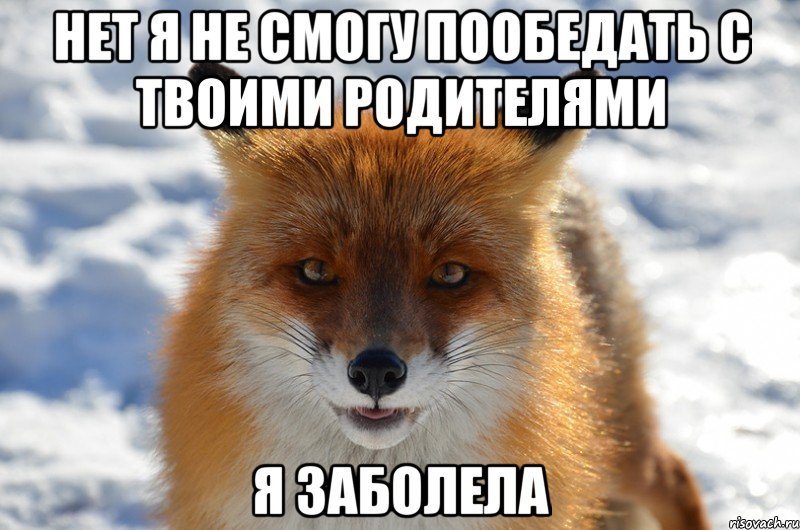 нет я не смогу пообедать с твоими родителями я заболела