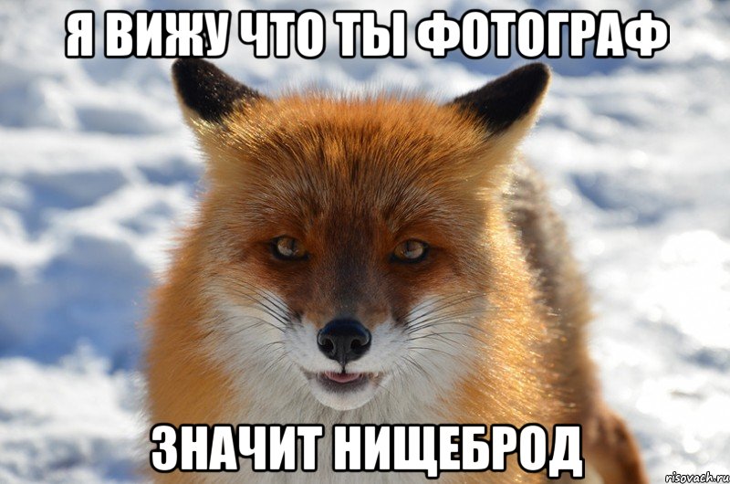 я вижу что ты фотограф значит нищеброд