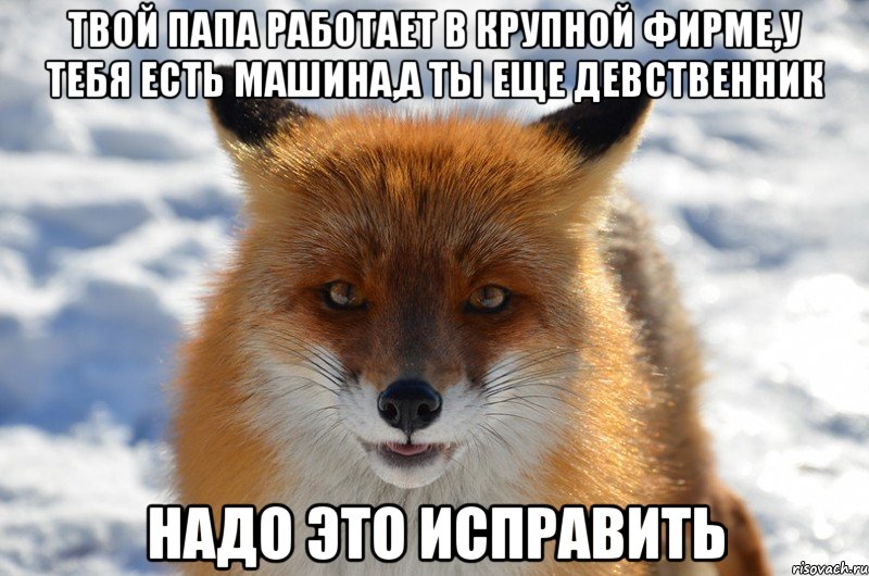 Твой папа работает в крупной фирме,у тебя есть машина,а ты еще девственник надо это исправить