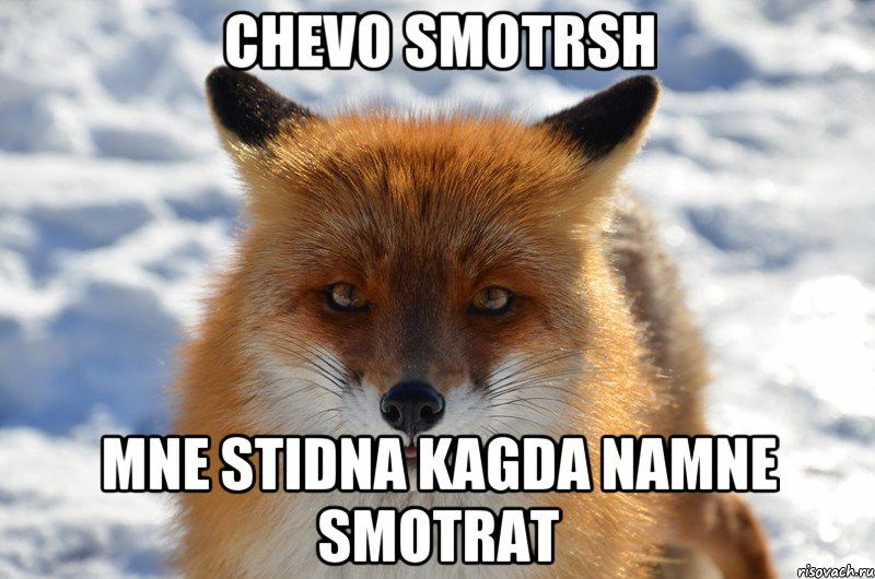 chevo smotrsh mne stidna kagda namne smotrat