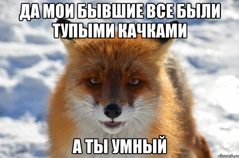 да мои бывшие все были тупыми качками а ты умный