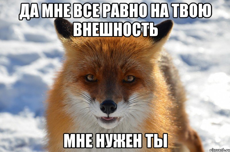 да мне все равно на твою внешность мне нужен ты